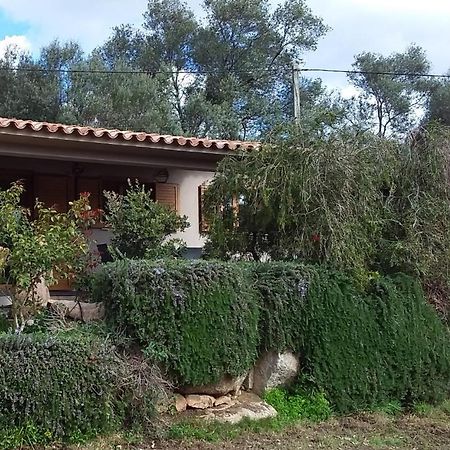 Willa Casa-Lesia Porto-Vecchio  Zewnętrze zdjęcie